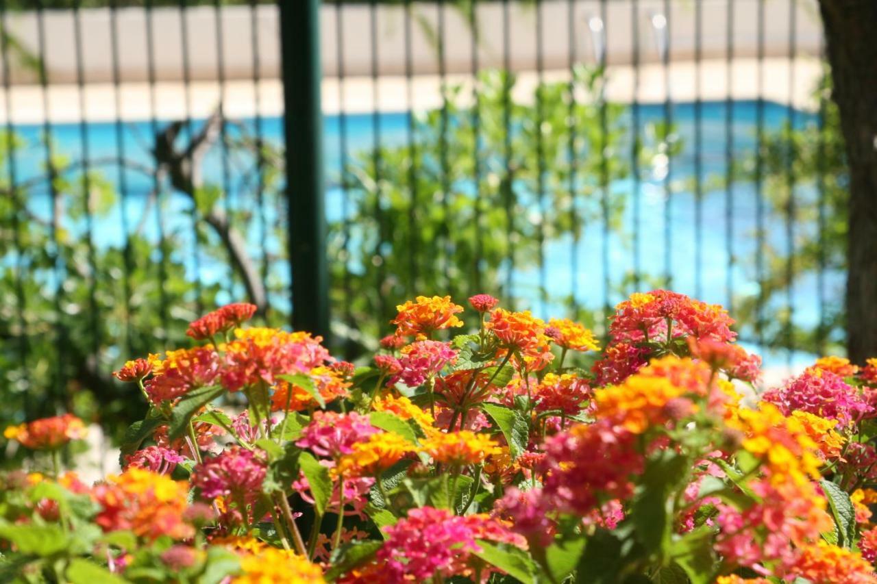Studio Le Fabrina Riviera Nicea Zewnętrze zdjęcie